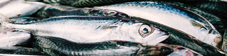 img-pescados-mar.png